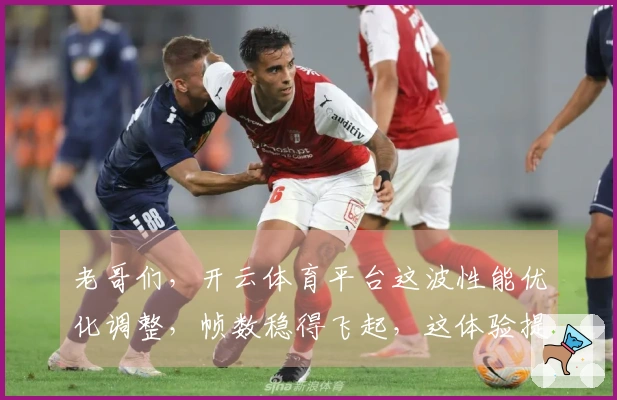 老哥们，开云体育平台这波性能优化调整，帧数稳得飞起，这体验提升可不止一点点！