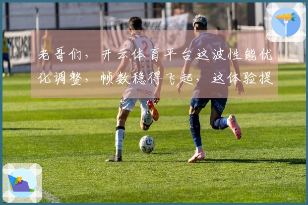 老哥们，开云体育平台这波性能优化调整，帧数稳得飞起，这体验提升可不止一点点！